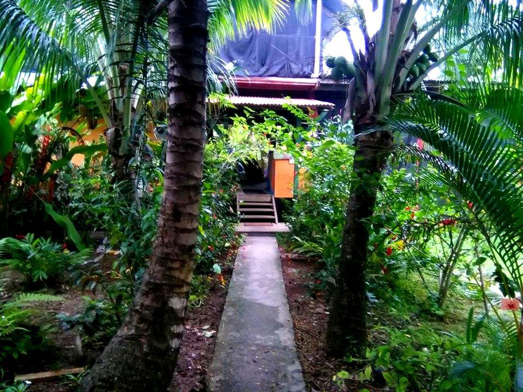 Surf Camp Hotel Bocas Town Exterior foto